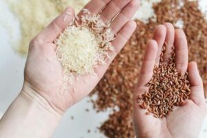 Natura Zen - Riz rouge : bienfaits, dangers et comment le consommer (guide complet) Riz rouge / Riz blanc - Natura Zen