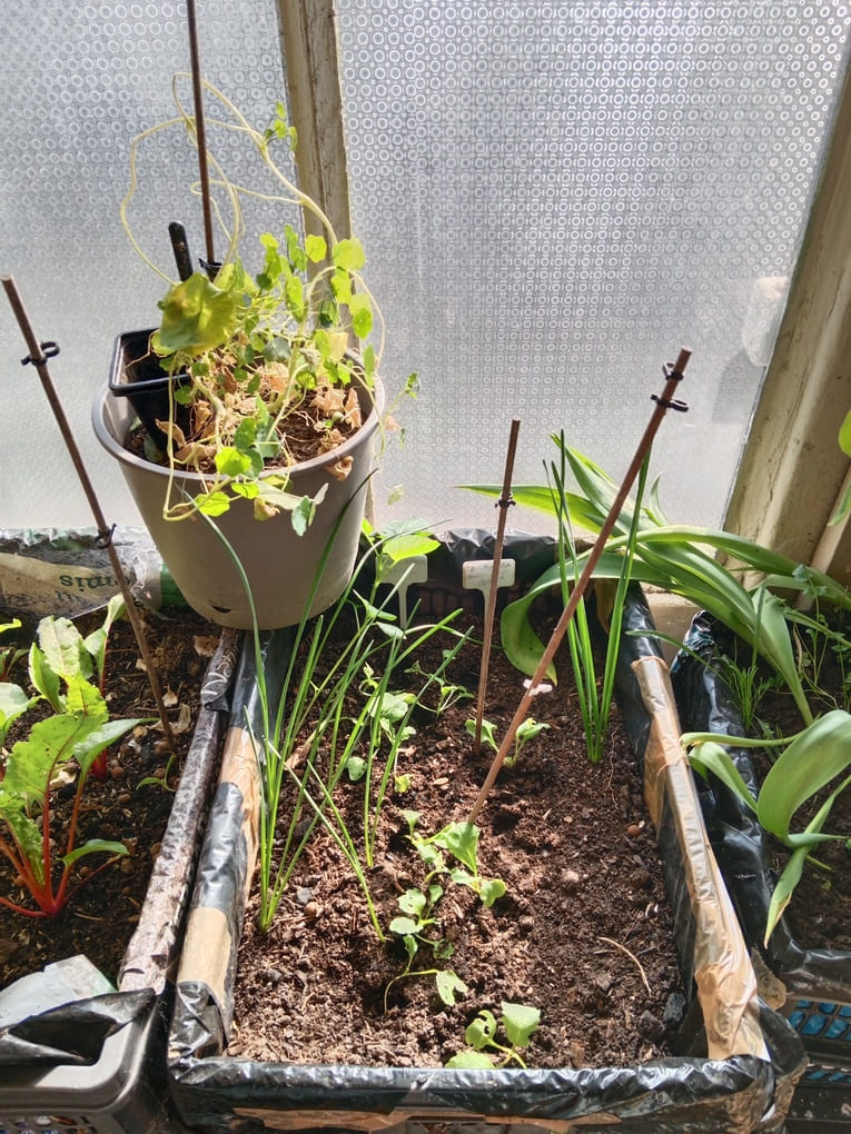 bac exp&eacute;rimental jardinage - Natura Zen
